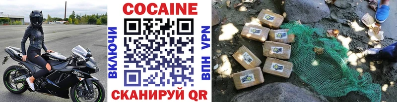 Cocaine Эквадор  Купить  Новопавловск 