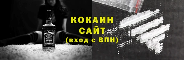 стаф Гусев