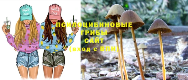 ALPHA-PVP Горно-Алтайск