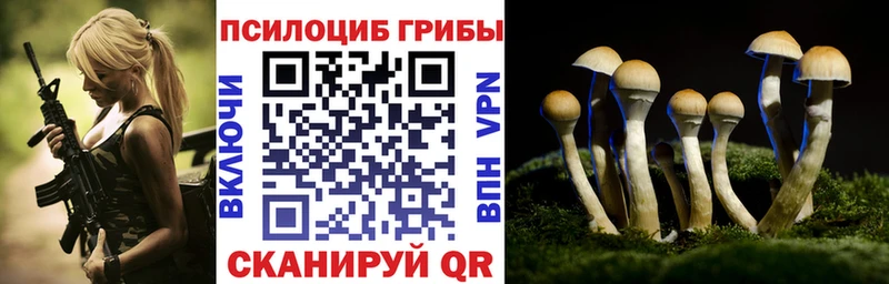 Галлюциногенные грибы ЛСД Новопавловск